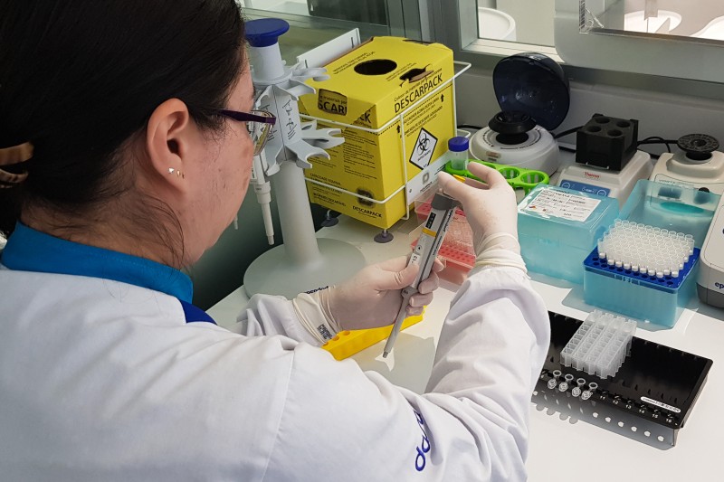 Cientistas publicam artigo que conclui mapeamento genético humano