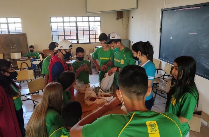 Germinação da soja e do milho foi temática em “Escola da Autoria” de Aral Moreira