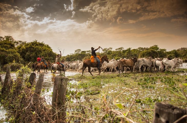 WTM Latin America: Mato Grosso do Sul destaca Pantanal e apoia Prêmio Turismo Sustentável