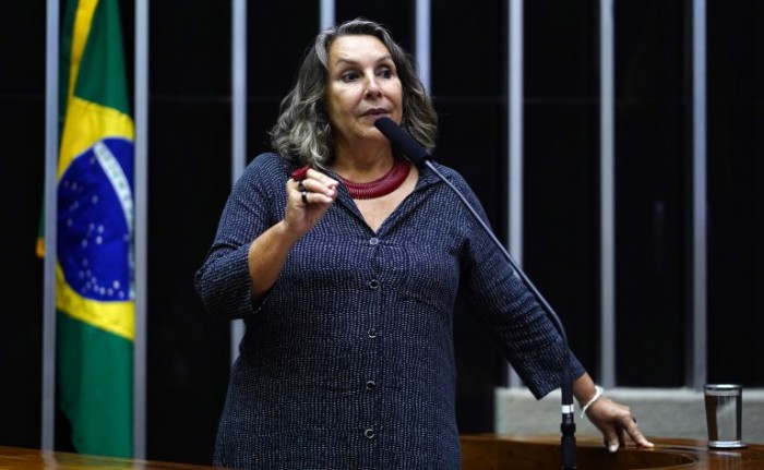 Comissão debate enfrentamento ao racismo na primeira infância