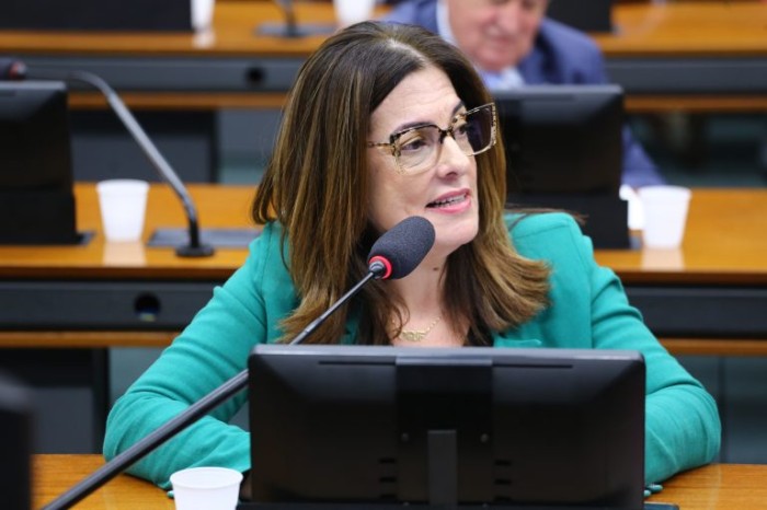 Projeto autoriza eventos on-line para a instituição de datas comemorativas