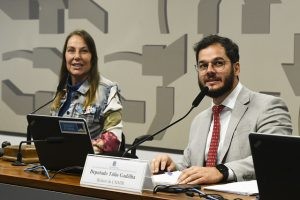 Comissão sobre migrações e refugiados aprova plano de trabalho